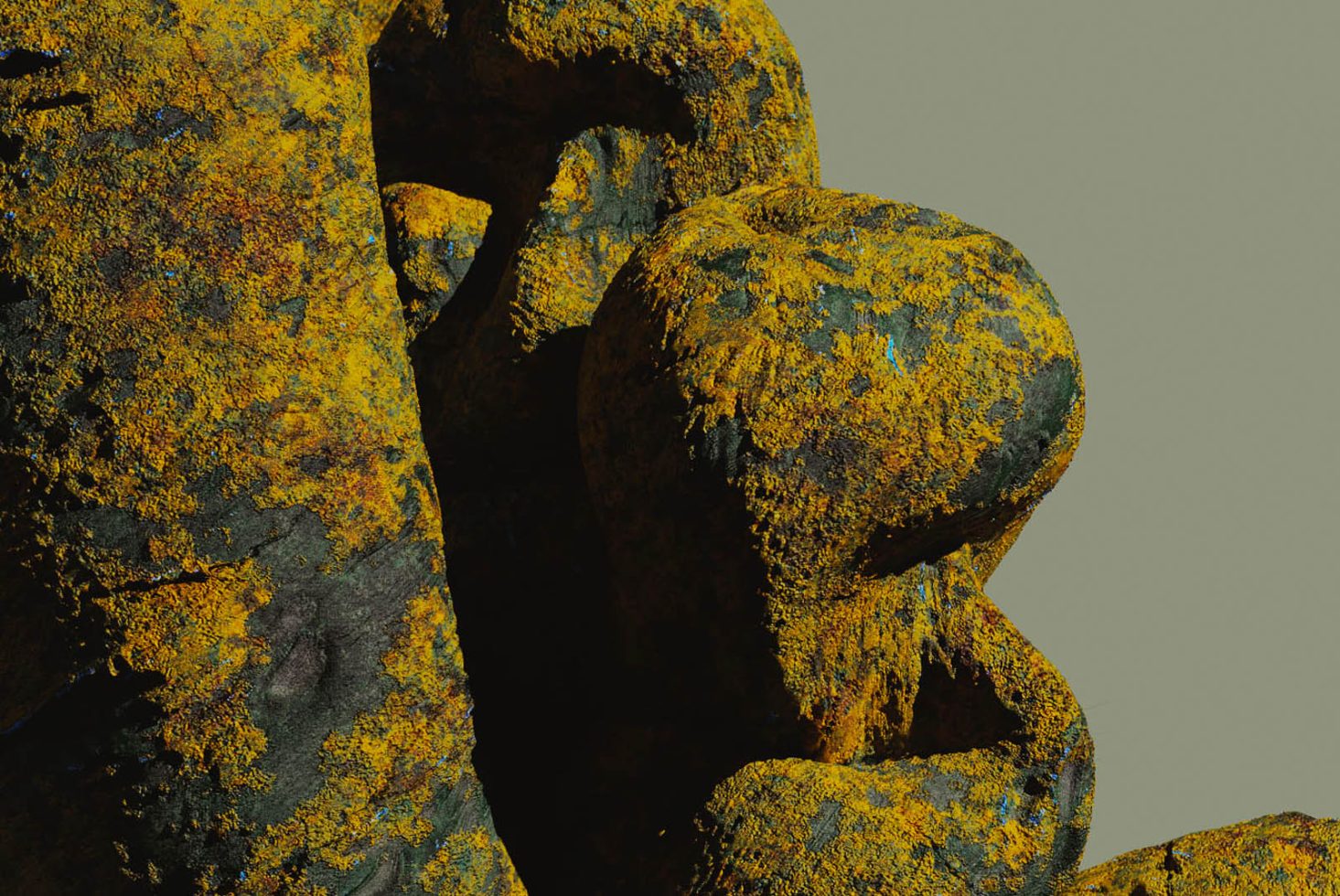 Textured 3D model with yellow lichen design, ideal for graphic design projects, realistic rendering in creative templates.