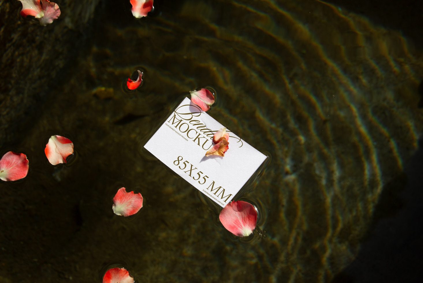 Business card mockup floating on water with ripples surrounded by rose petals, natural lighting, water texture, realistic presentation.