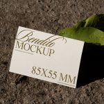 Elegant business card mockup on concrete with shadow and green leaf, showcasing script font design, ideal for graphic presentations, 85x55mm.