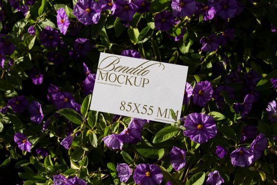 Business card mockup on floral background for designers featuring natural scenery, vibrant purple flowers, showcasing card design and layout.