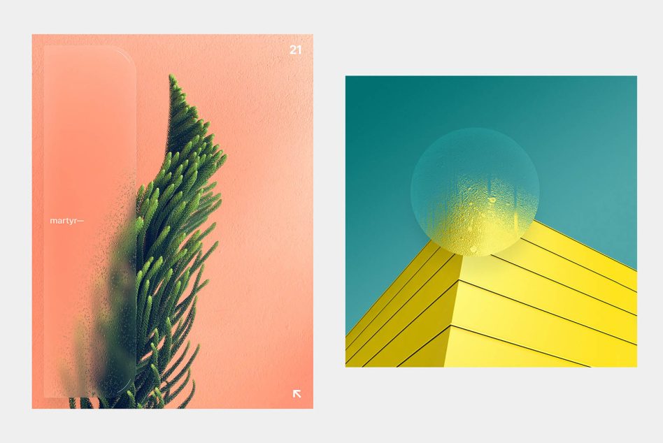 Stylish graphic design templates with abstract nature plant elements and geometric shapes, trendy pastel colors for modern design projects.