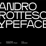 Modern Sandro Grotesco typeface poster display black and white, 214 glyphs, 3 weights plus italic, ideal for designers and branding.