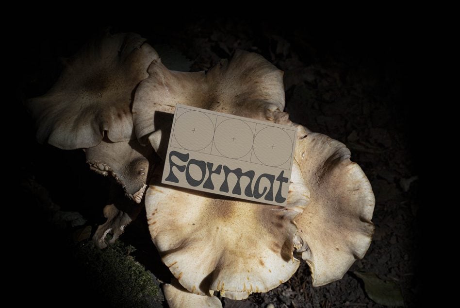 Format business card on crumpled beige paper in moody studio lighting
