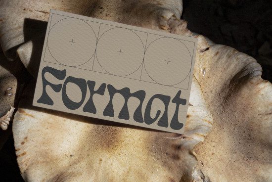Vintage font presentation card with "Format" text on textured mushroom surface, for graphic design and typography assets.