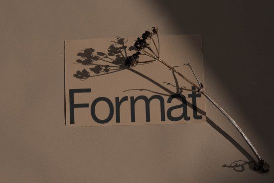 Elegant font design mockup with shadow of dried flowers creating a sophisticated presentation for branding on a beige background.