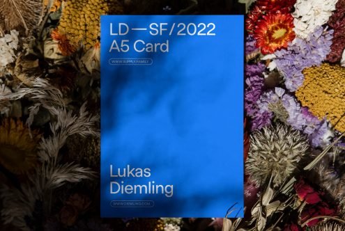 A5 card mockup with elegant typography on a blue background, surrounded by an assortment of dried colorful flowers, ideal for presentations and branding.