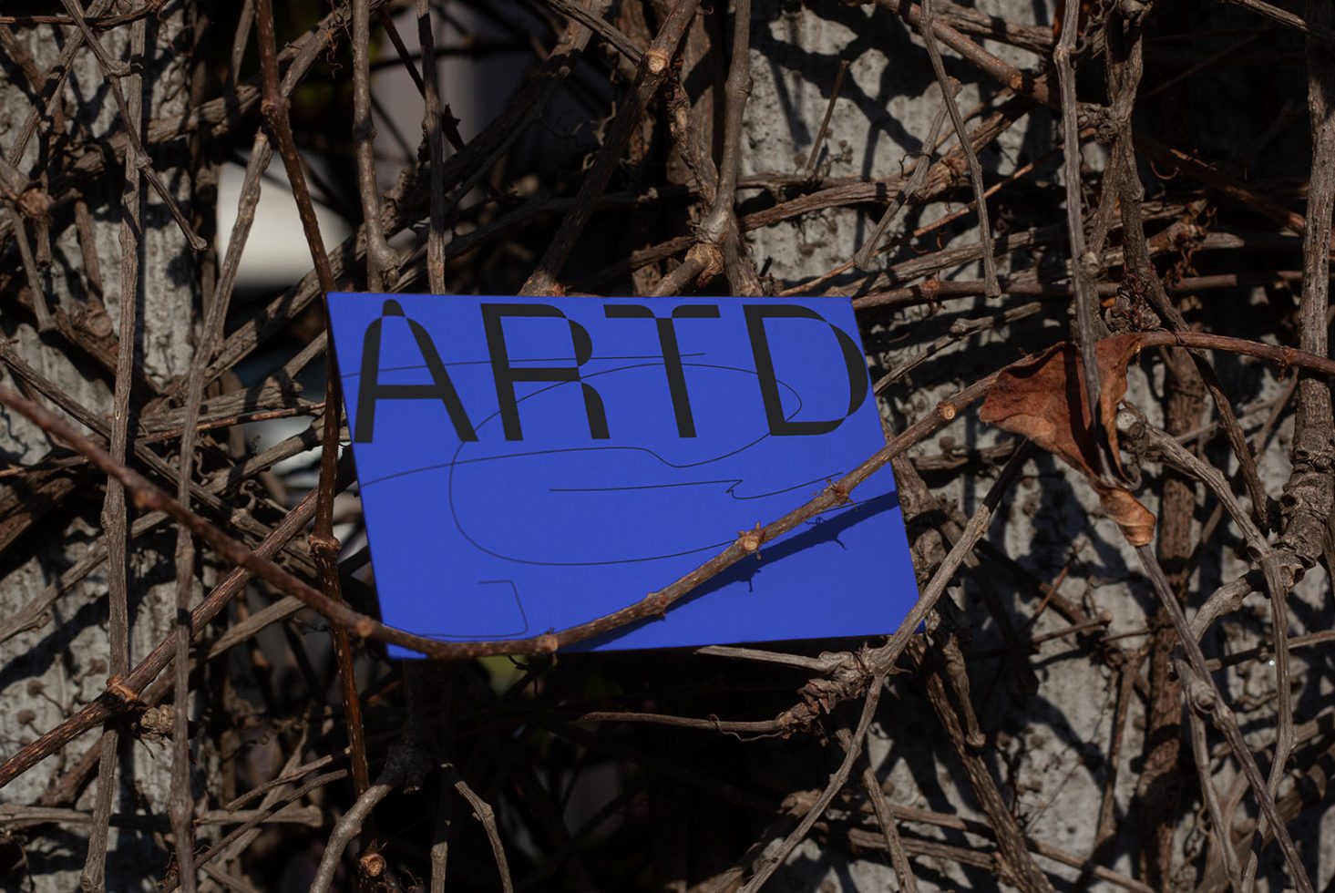 Blue card with letters ARTD intertwined with bare tree branches, natural light, potential mockup for graphics and typography showcase.