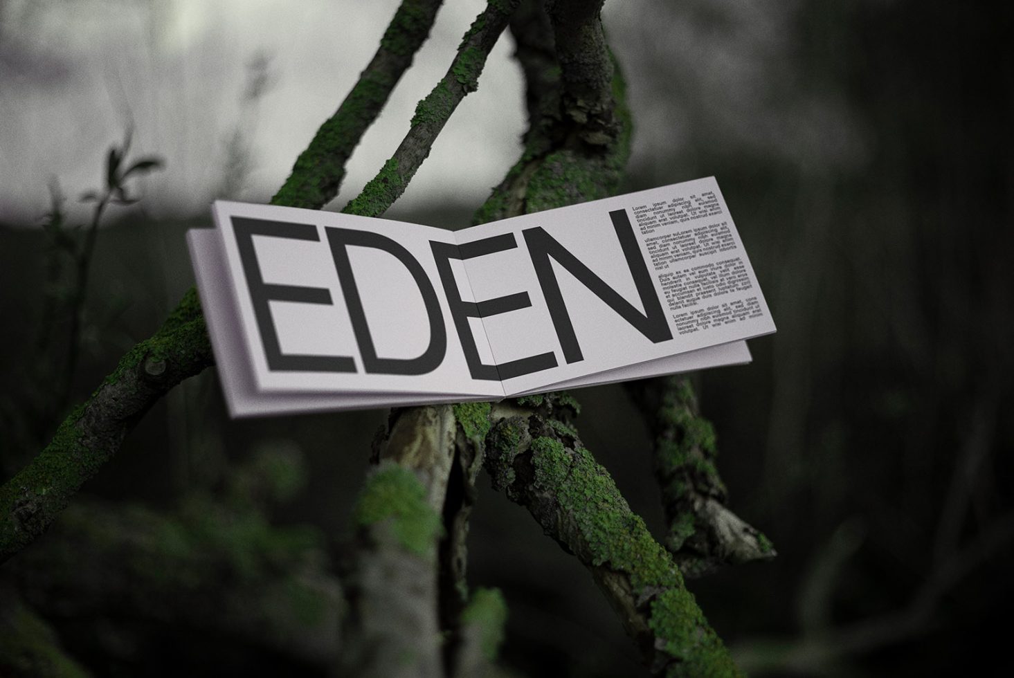 Open magazine with bold EDEN title on mossy branch realistic mockup for book design presentations and portfolio displays.