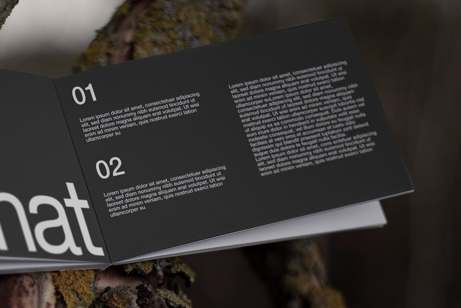 Open book mockup with lorem ipsum text on a natural backdrop, ideal for showcasing brochure designs and layouts for graphic designers.