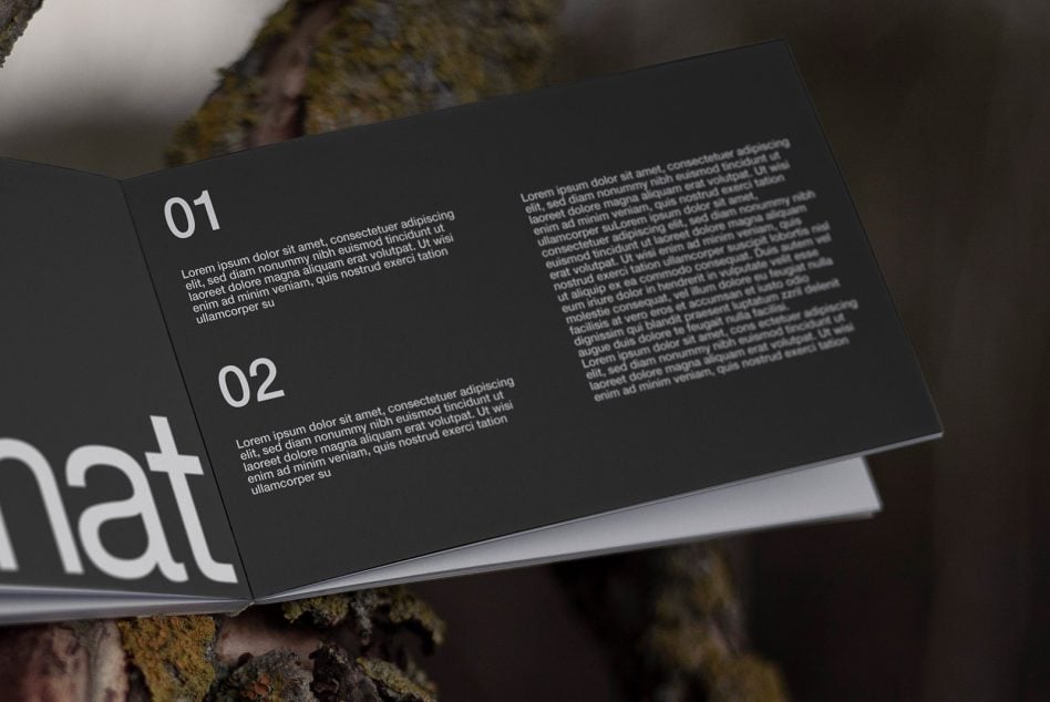 Dark spread interior showing numbered sections 01 02 with body text