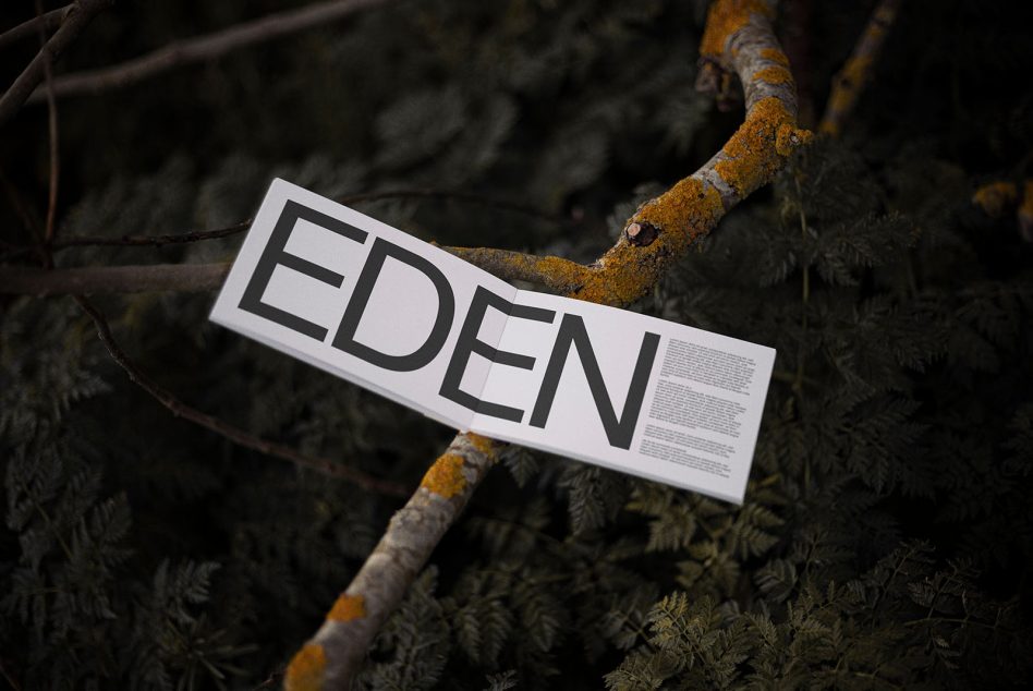 Sign with bold font reading EDEN on a branch over ferns, showcasing typography, suitable for graphics and mockup categories for designers.