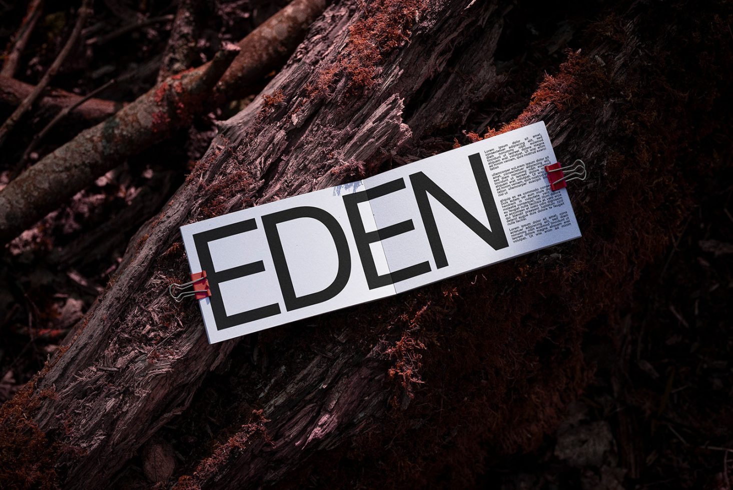 Eden bold font displayed on paper mockup clipped to textured bark, showcasing natural setting for graphic design inspiration.