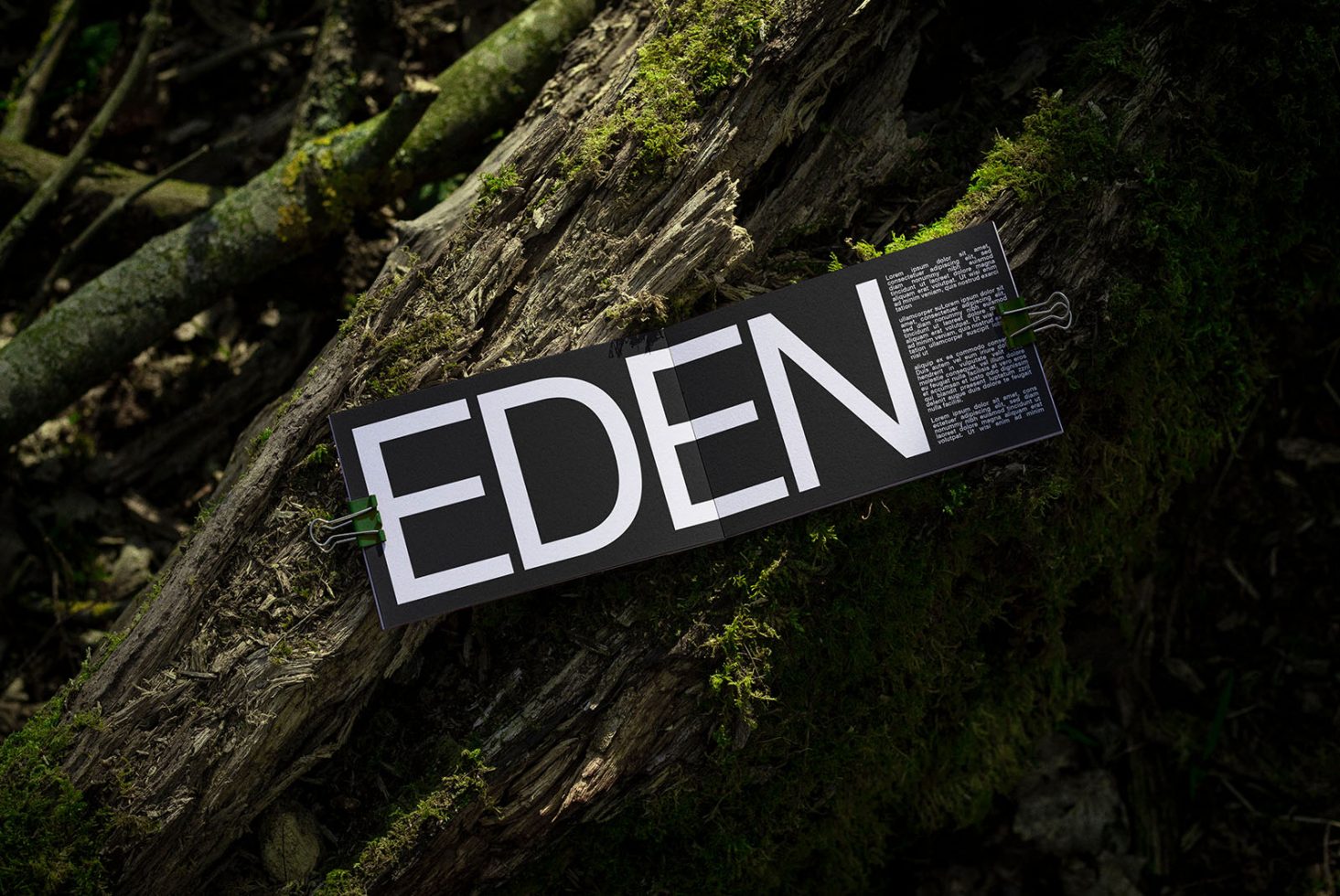 Bold white EDEN font showcased on dark banner, held by clips on textured forest log, nature-themed graphic design mockup.