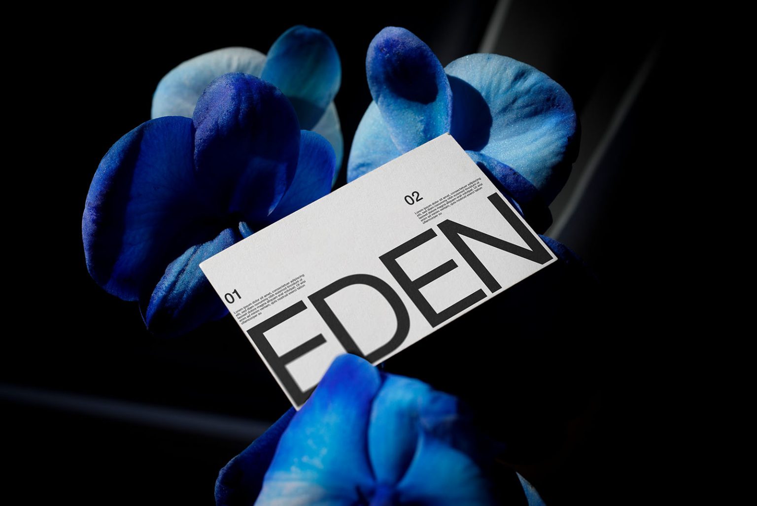 Business Card Mockup Eden 01, Print Mockup | Supply.Family