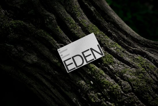 Business card mockup with minimalist design on natural textured tree bark, ideal for eco-friendly branding presentations for designers.