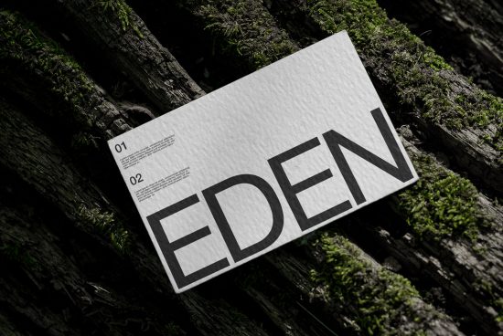 Business card mockup with bold typography EDEN resting on textured wood and moss, showcasing natural environment design concept.