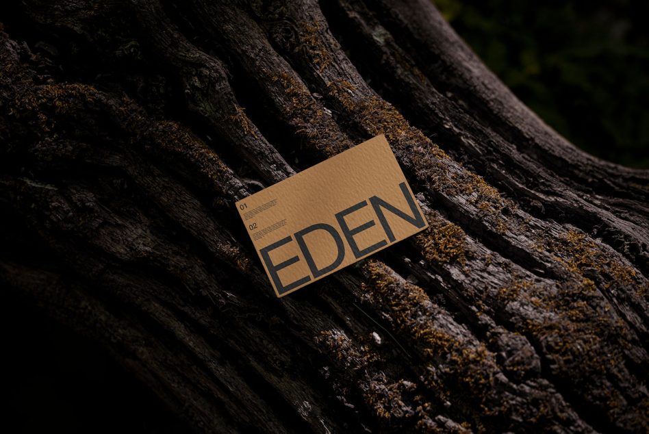 Business card mockup with minimalist design on textured tree bark, showcasing natural eco-friendly branding for designers.