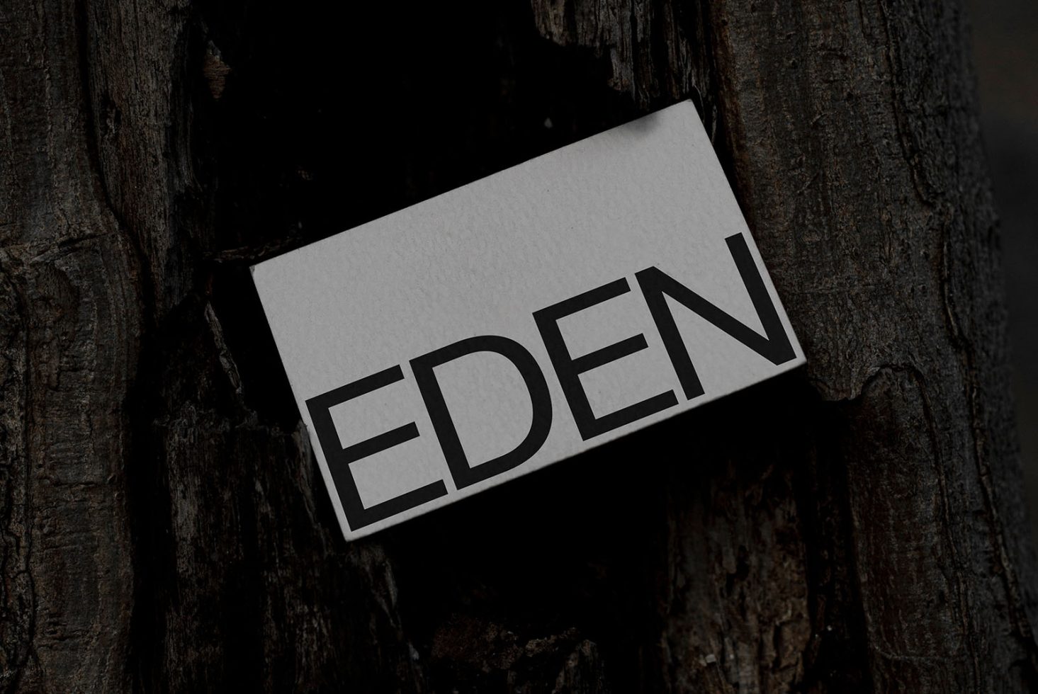 Business card mockup with bold font EDEN text inserted in a natural wooden texture, ideal for eco-friendly brand presentation