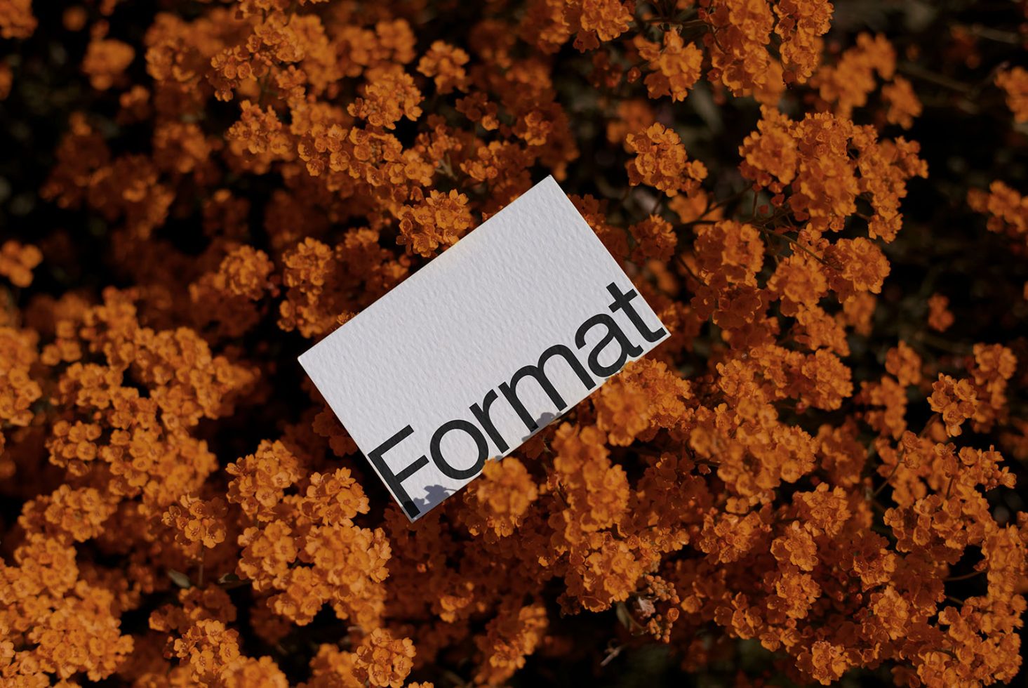 Business card mockup with 'Format' text on textured paper surrounded by vibrant orange flowers, ideal for showcasing design work.