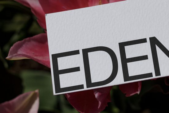 Bold sans-serif font preview card with word 'EDEN' held against a blurred pink flower background, ideal for graphic design and typography projects.