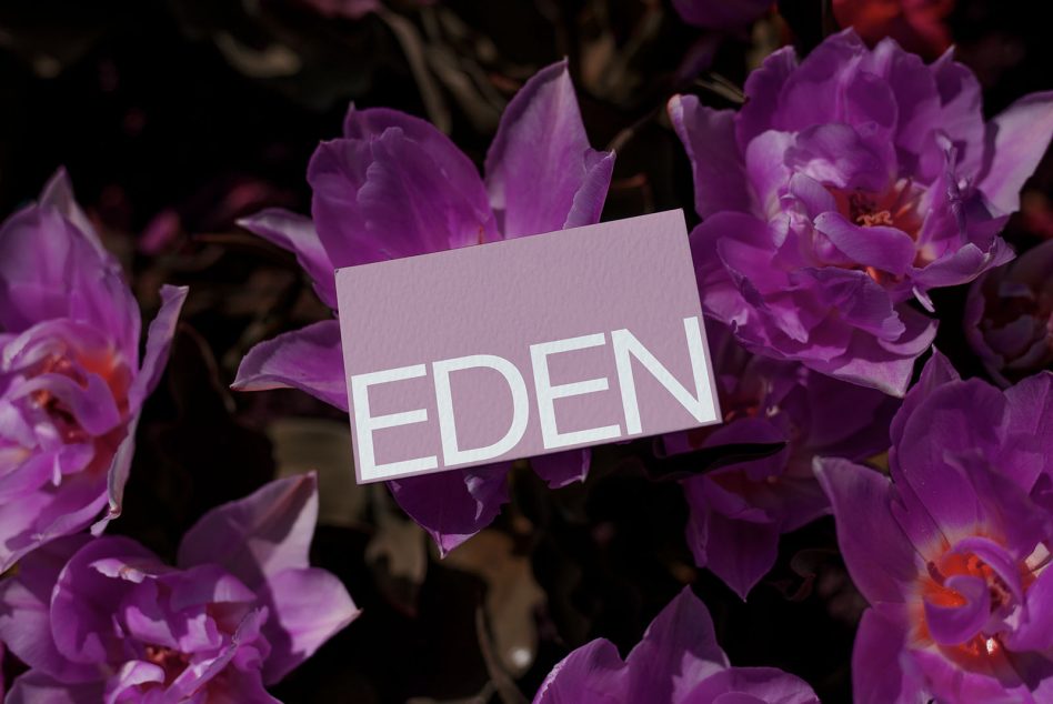 Vibrant purple flowers with a white card featuring bold 'EDEN' text, ideal for nature-themed graphic design or template elements.