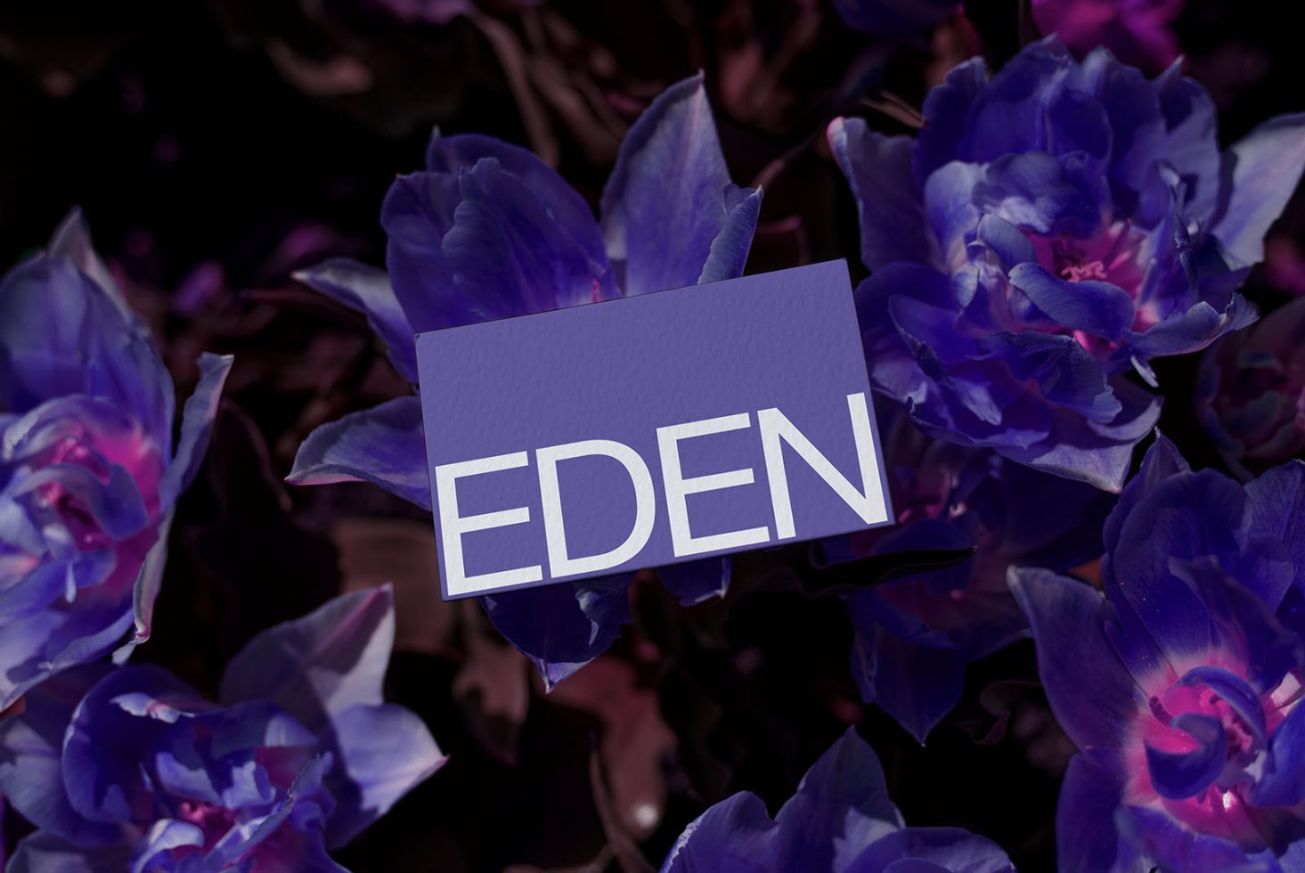 Business card mockup with the word EDEN on a purple card surrounded by dark moody florals, ideal for presentation and branding design.