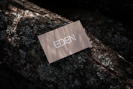 Business card mockup with elegant font EDEN on textured bark background, showcasing natural and rustic design aesthetics for branding.