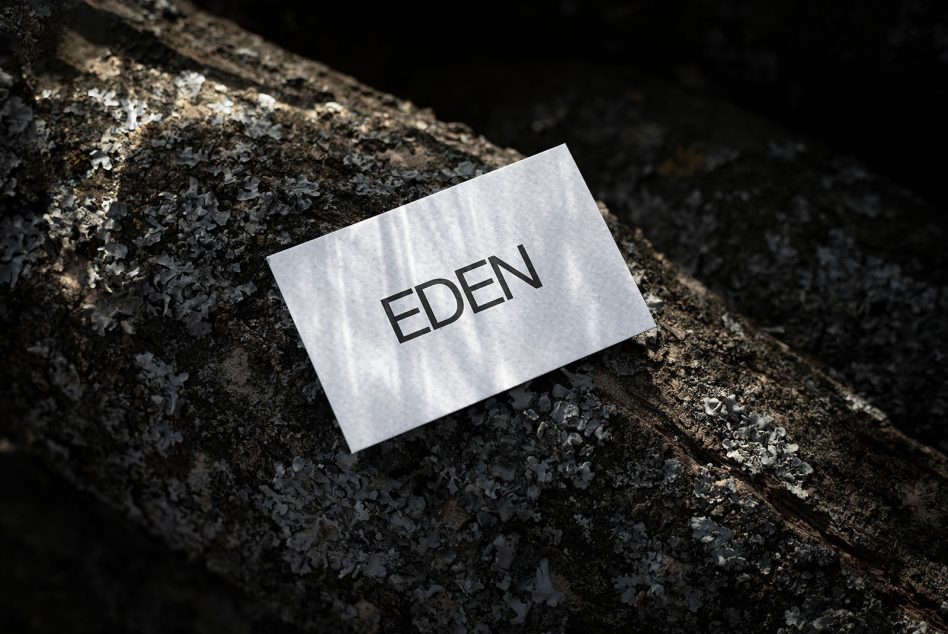 Business card mockup with the word EDEN on textured stone surface showcasing natural shadow play, suitable for eco-friendly brand identity.