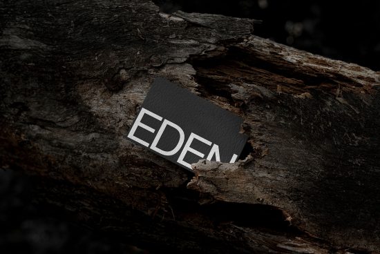 Business card mockup with 'EDEN' text nestled in aged tree bark, showcasing natural textures contrast with modern design for graphic assets.
