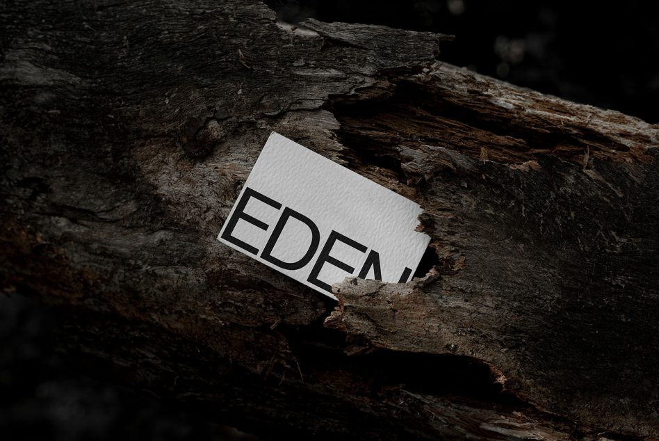 Business card mockup with textured design nestled in natural wood setting, ideal for showcasing eco-friendly brand identity.