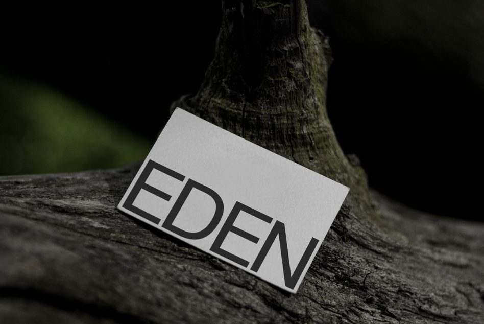 White business card with bold EDEN text leaning against weathered tree bark