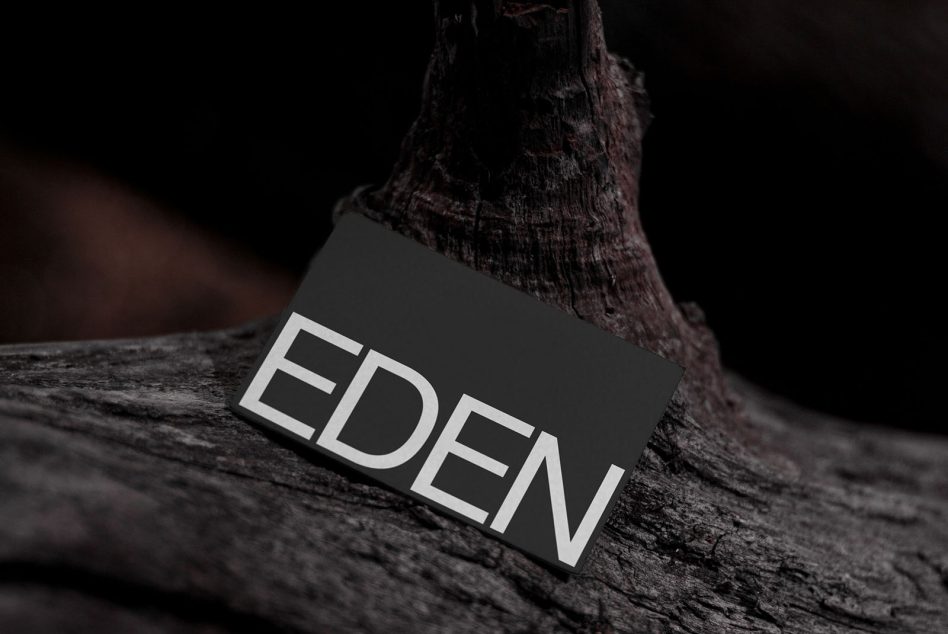 Minimalist dark card mockup with EDEN text positioned on split wood log close