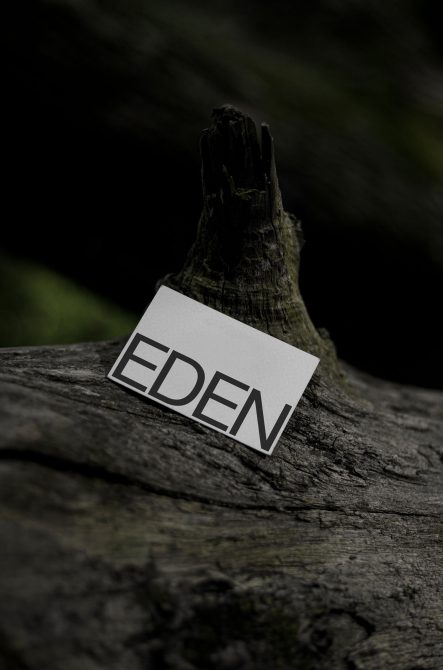 Business card displaying EDEN leaning against dark textured tree stump outdoor