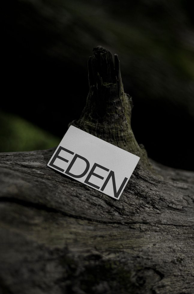 Business card mockup on a textured old wood stump in nature, showcasing font and design elegance for a natural brand aesthetic.