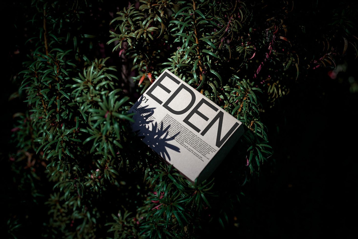 Book mockup in natural setting with title EDEN, sharp shadows, on dense foliage, ideal for showcasing cover designs and fonts for designers.