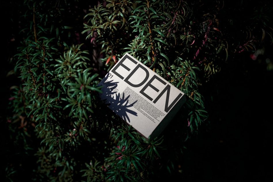 Eden brand materials mockup tilted among green plants with natural light