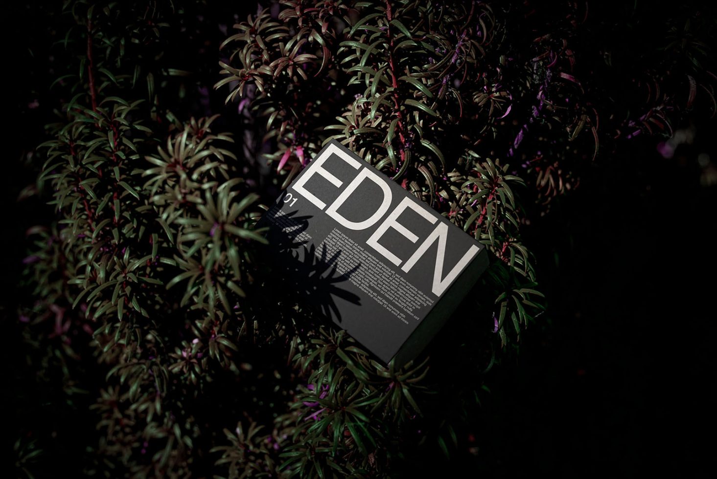 Elegant packaging mockup with Eden book cover in a dark natural setting amidst vibrant foliage, ideal for designers to showcase work.