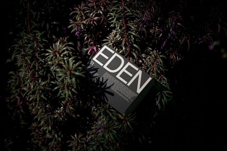 Eden publication mockup in charcoal black surrounded by foliage with purple accents