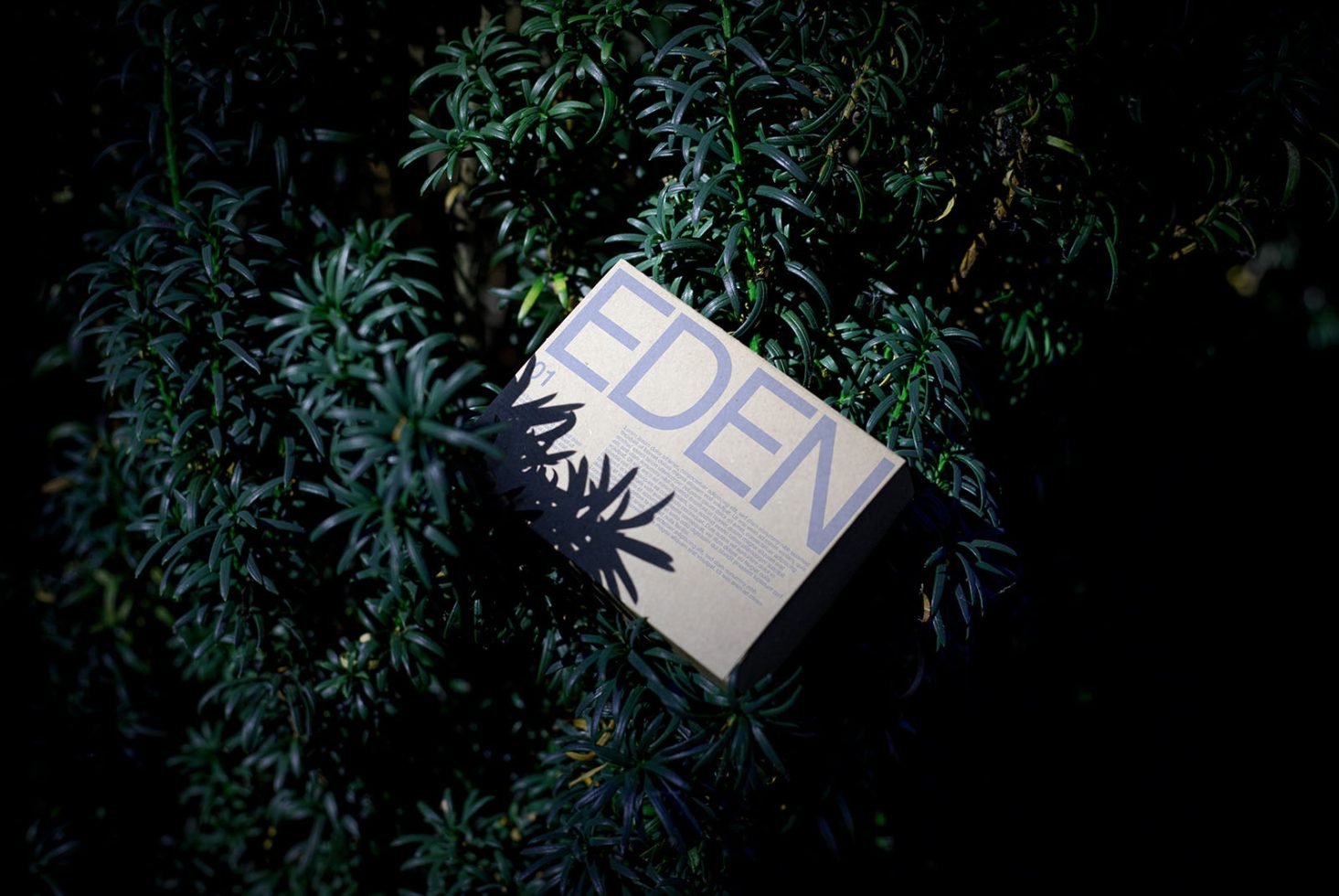 Dark botanical mockup featuring a box with 'EDEN' text surrounded by lush foliage, ideal for eco-friendly packaging design presentations.