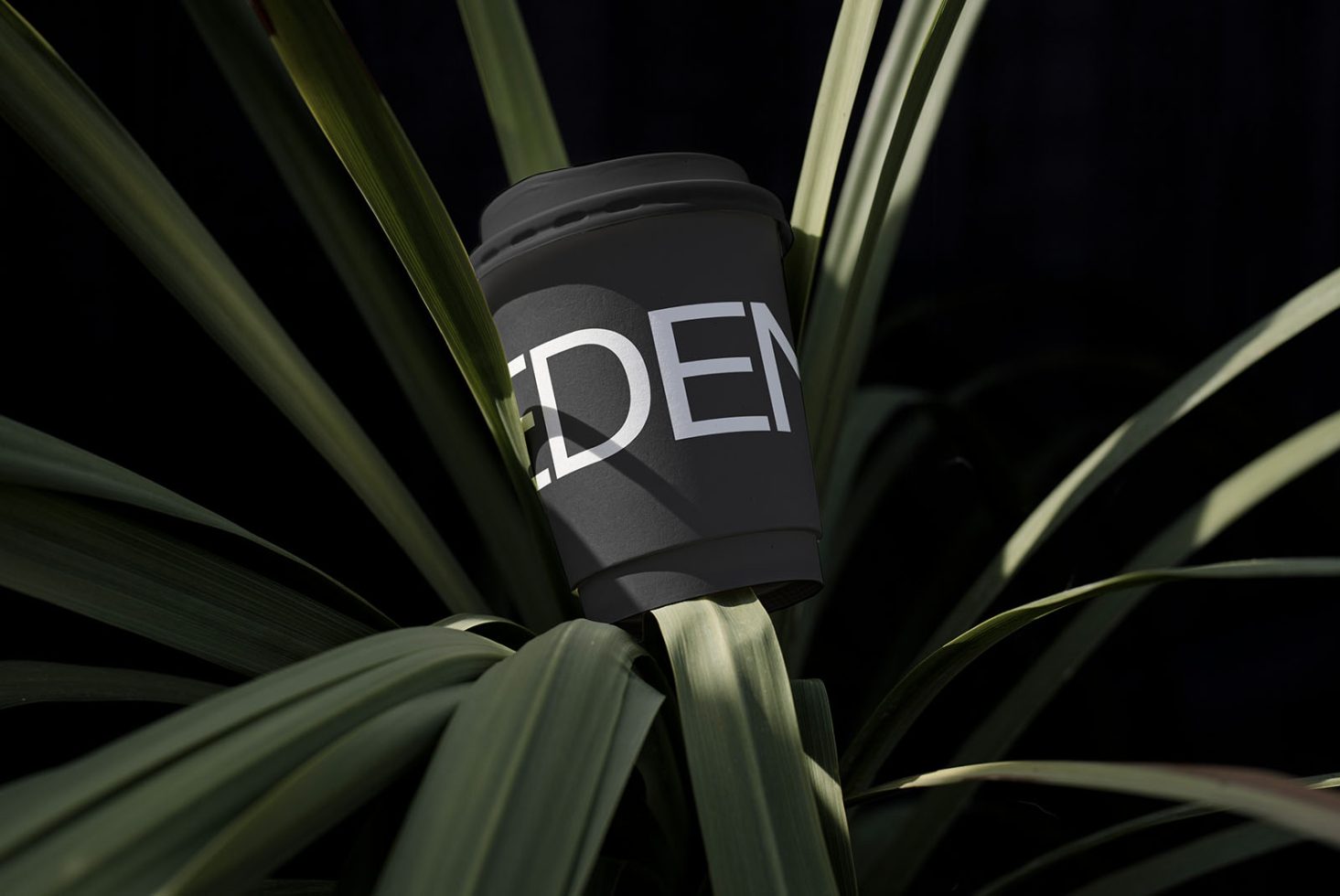 Black coffee cup mockup with custom logo placement surrounded by greenery for realistic branding presentation, perfect for designers.