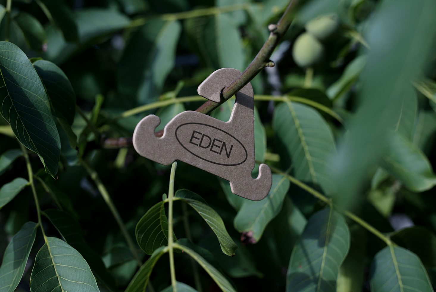 Eco-friendly cardboard hanger mockup with custom branding 'EDEN', set against natural green foliage background, ideal asset for sustainable fashion.