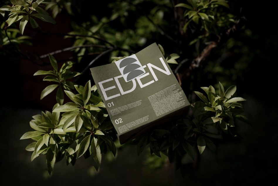 Natural outdoor mockup of a box with modern typography design, showcasing packaging mockup surrounded by green leaves with soft shadows.