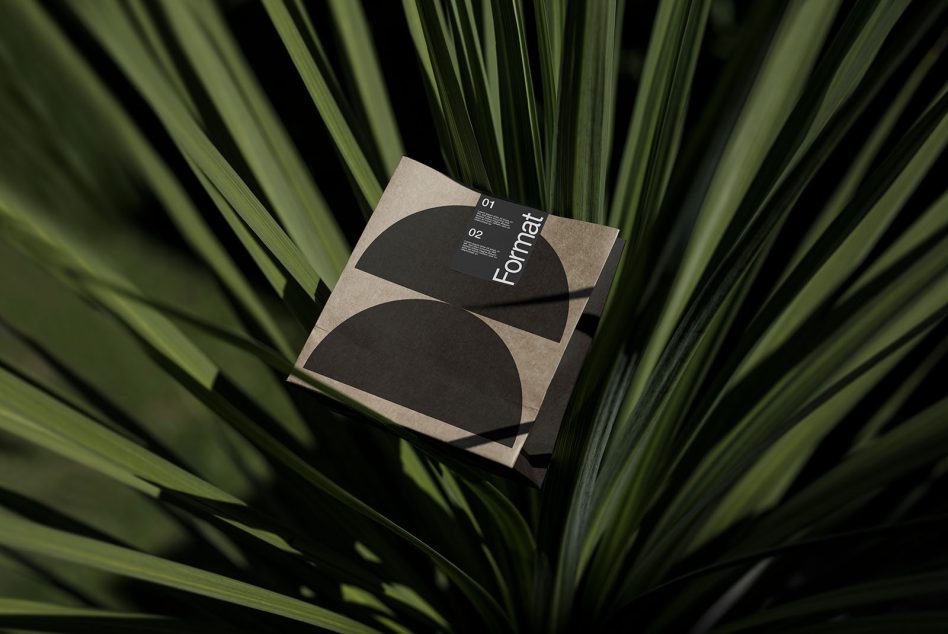 Format magazine resting on green palm fronds in natural sunlight