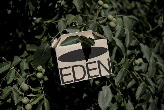 Product packaging mockup of a carton box with bold 'EDEN' branding, hanging among green leaves, ideal for eco-friendly design presentations.