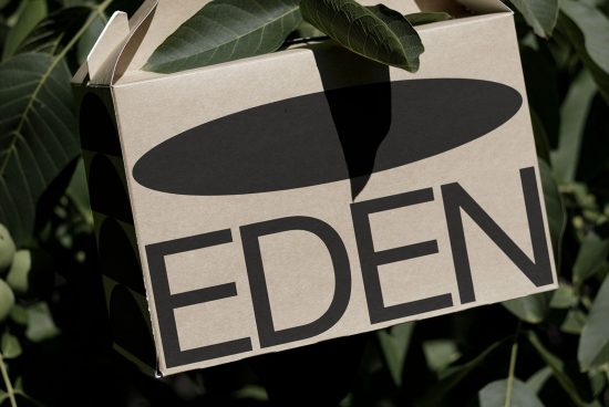Cardboard box with black Eden logo mockup in a natural setting ideal for eco-friendly packaging design presentations and sustainable brand identity.