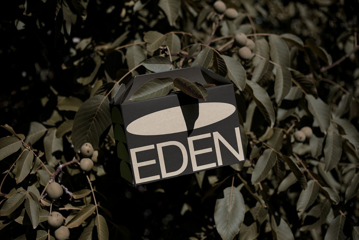 Mockup of a black package with white text reading EDEN, nestled in a natural background of green leaves and walnuts, for product presentation.