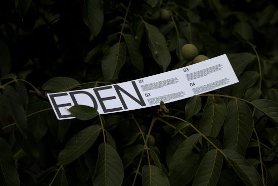 Mockup of leaflet with bold typography design EDEN nestled in green leaves, showcasing print design and natural backdrop for creatives.