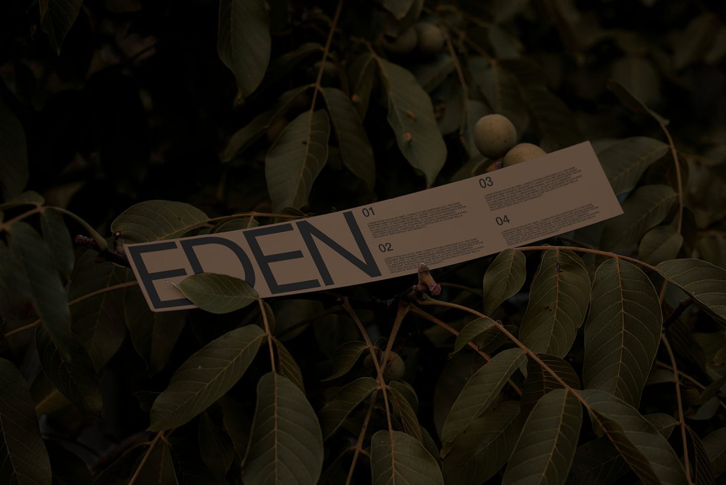 Dark elegant branding template mockup with the word EDEN laid across foliage for graphic design portfolio presentation.