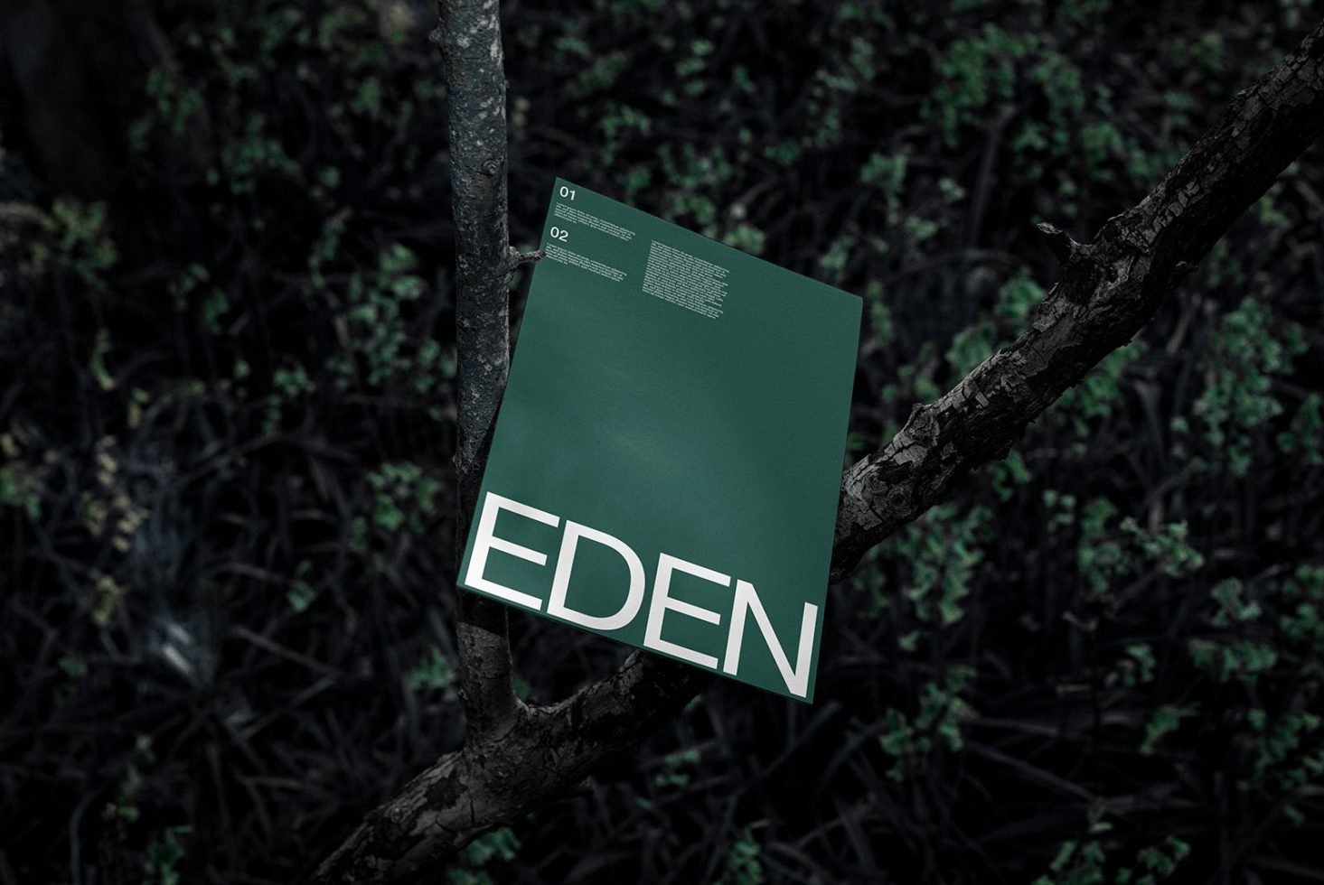 Green magazine cover mockup with the word EDEN hanging on a tree branch, natural outdoor setting, modern design display.