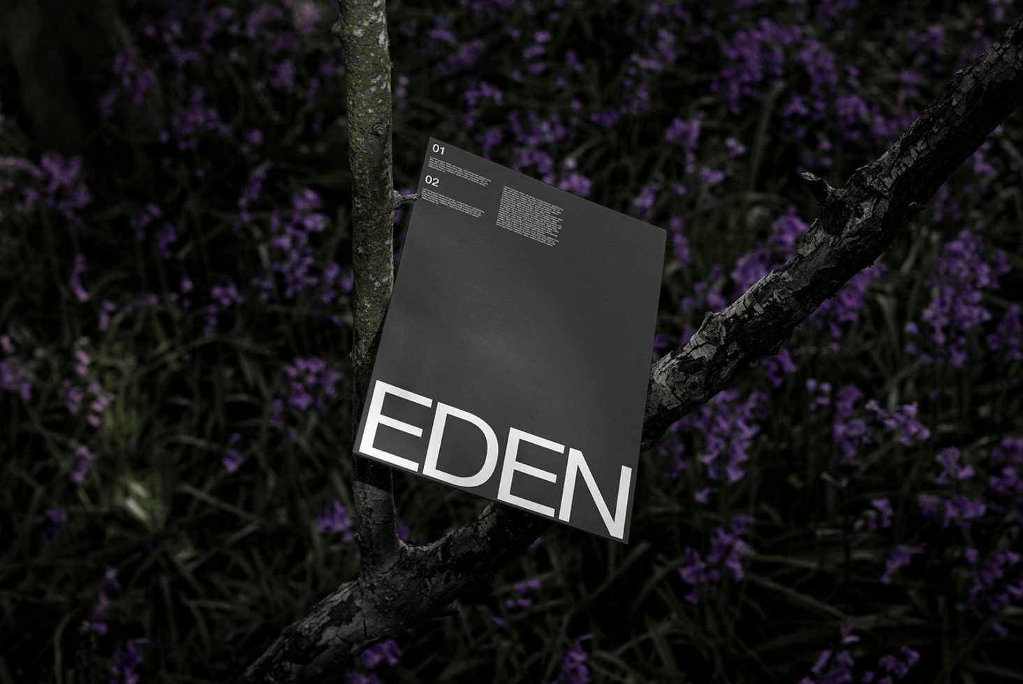 Magazine mockup with clear typography on cover presented against nature backdrop, ideal for branding, graphic design projects.